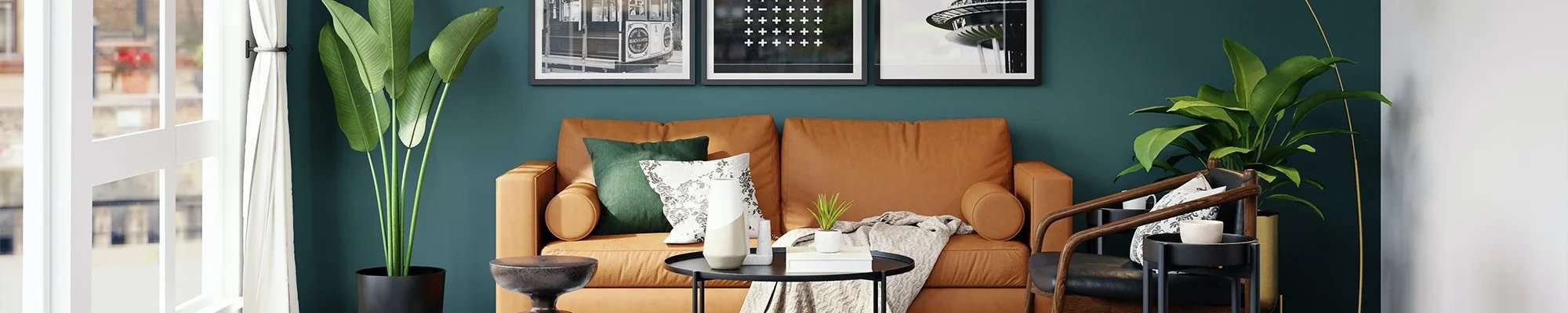 sunny living room with colourful couch and plants